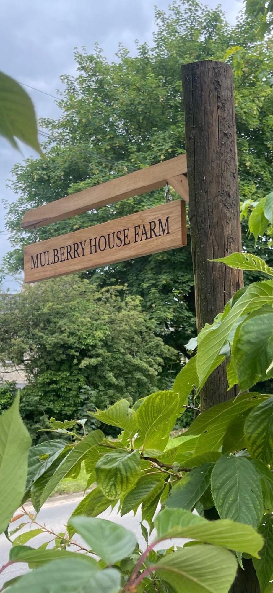 Mulberry House Farm The Garden Room Chippenham  Esterno foto